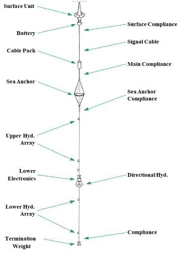 Vertical Measurement: The Outstanding Characteristic