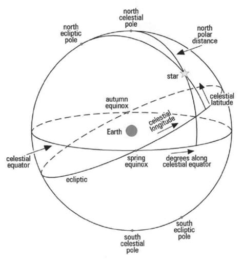 Vertical Measurement: The Physical Stat Figure of Celestial Being