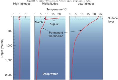 Vertical Measurement of Anee Ocean