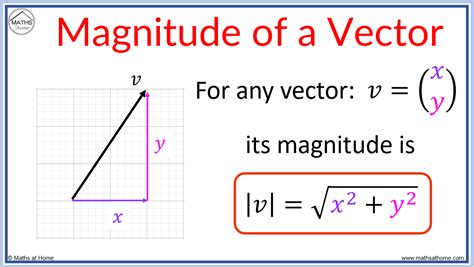 Vertical Measurement of Nicki's Magnitude