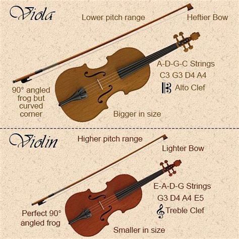 Viola Arr's Physical Appearance and Height