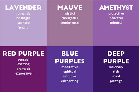 Violet in Psychology: Exploring the Relationship between Colors and Emotions