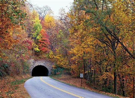 Virginia Tunnels: Height, Physique, and Fashion