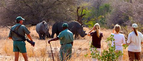 Walking on the Wild Side: A Safari in the Heart of the City