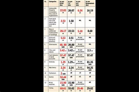 Wealth and Assets Evaluation of Amina Amore