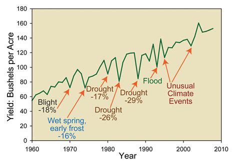 Weather-Related Factors: Examining the Impact of Climate on Lip Swelling