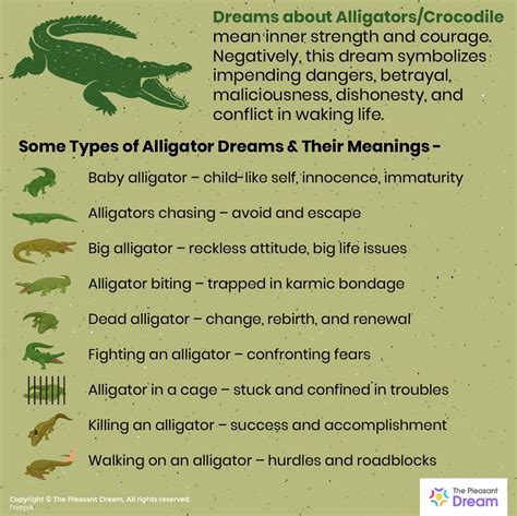 What Alligators Represent in Dream Interpretation