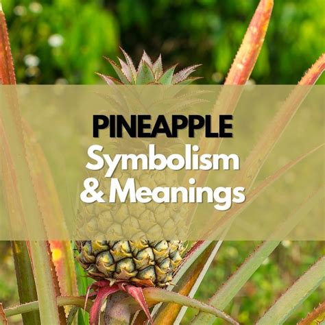 What Does it Symbolize? Understanding Unripe Pineapple in Dreams