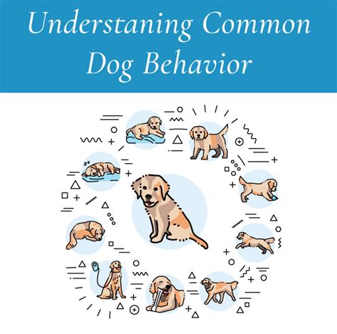 What Insights Can Dreams of Canine Aggression Offer into Internal Struggles?