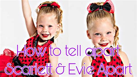 What Sets Evie Apart