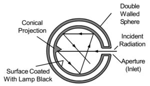 What is Camille Black's body structure?