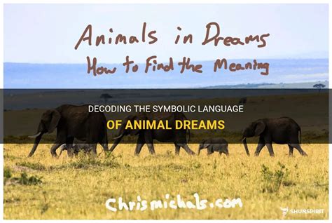 When Wild Pet Intruders Invade Our Slumber: Decoding Symbolic Messages in Animal-Inspired Dreams