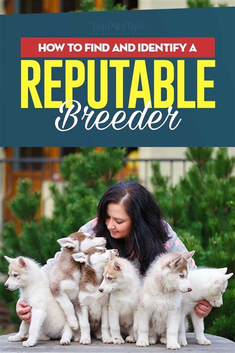 Where to Locate Reputable Breeders and Shelters