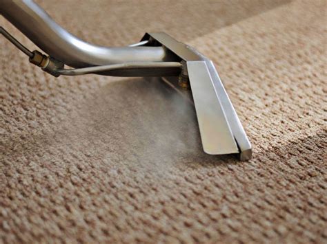 Why Professional Carpet Cleaning Services Are Essential for Carpet Maintenance