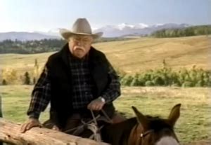 Wilford Brimley's Impact on the Diabetes Community