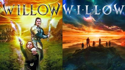 Willow Love's Time Passed on Earth