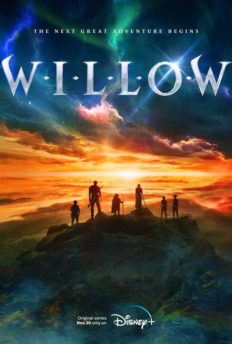 Willow Love's Upcoming Projects and Future Ventures