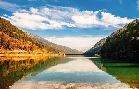 Witness Nature's Masterpiece: The Flora and Fauna of Serene Lake