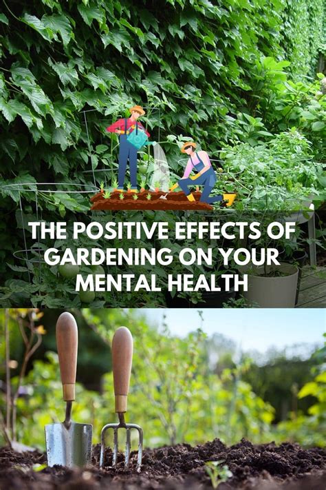 Witnessing the Positive Impact of Gardening on Mental Health