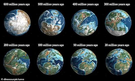 Years Lived: What is the number of years Janine has been on this earth?