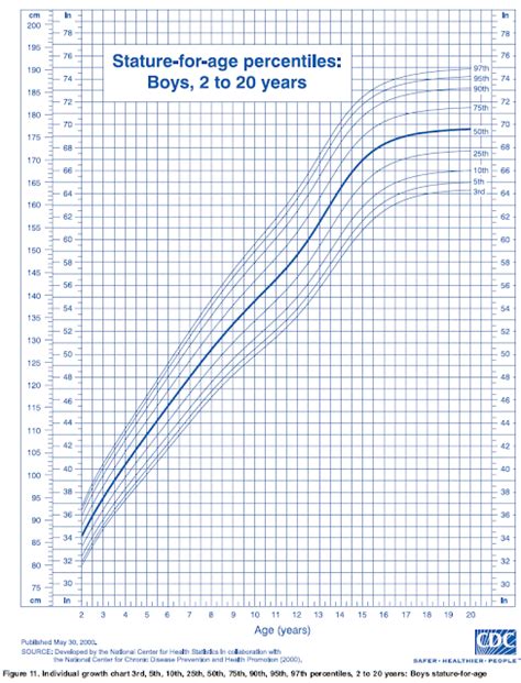 Years and Stature of The Noteworthy Individual