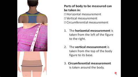 Years and Vertical Measurement of Majestic Sophie