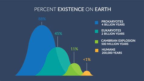 Years on Earth: How many years has the elegant lady existed?