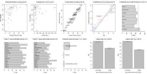 Yuki Jin's Chronological Adulthood and Vertical Measurement