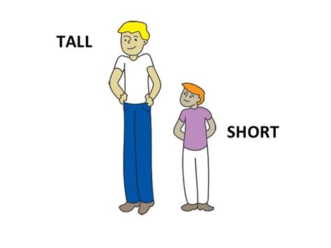 Zuzinka Height: Tall or Short?